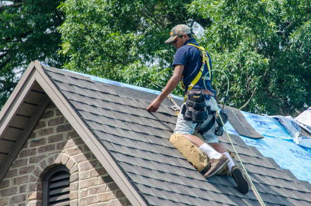Best Roof Waterproofing Services  in Saline, MI